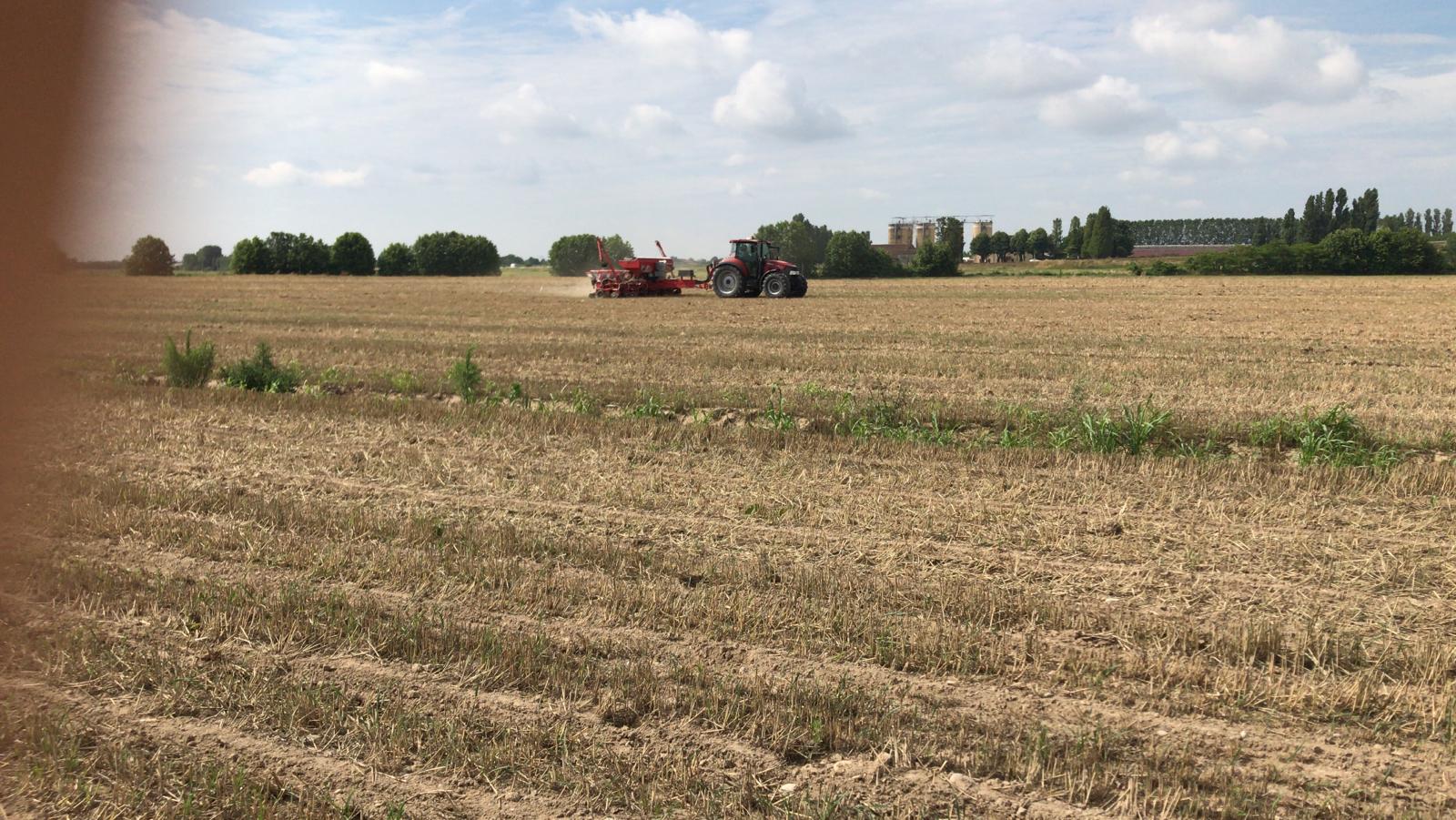 2020_06 - Prove di semina